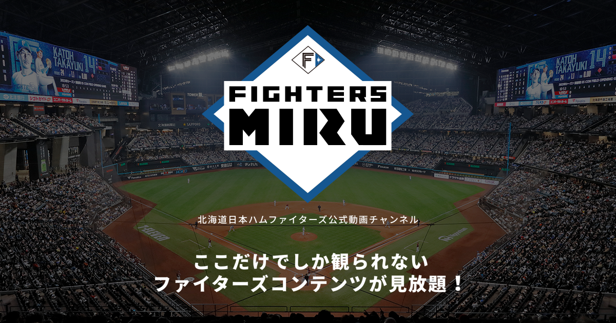 FIGHTERS MIRU