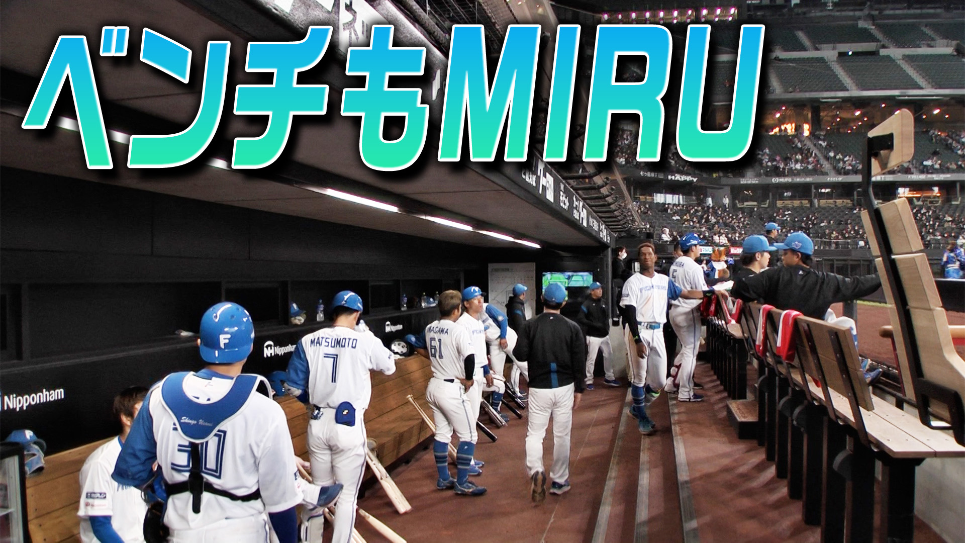 4月14日 (金）ベンチもMIRU  vs埼玉西武  18:00～