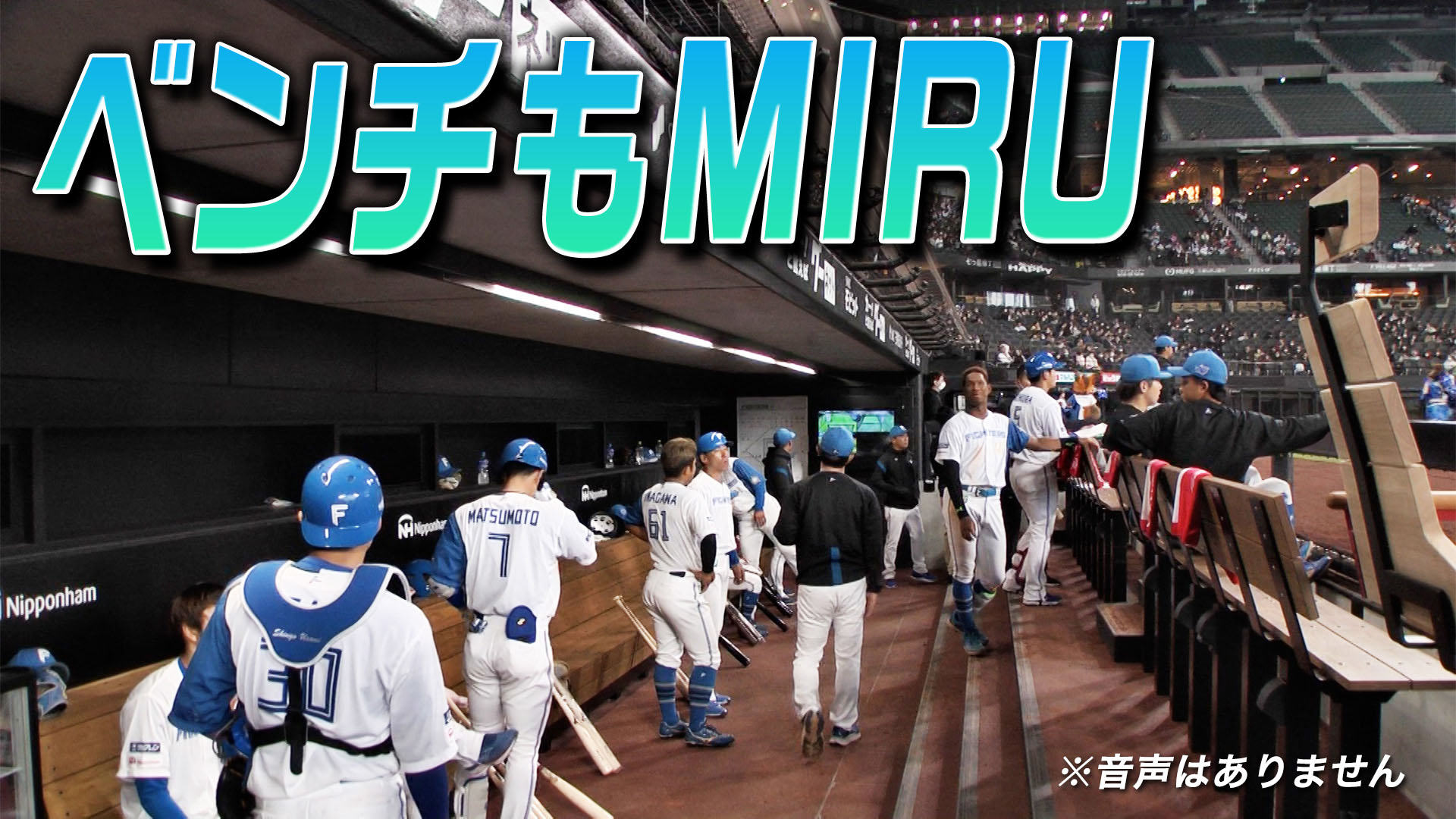 6月11日（日）ベンチもMIRU vs阪神 13:00～