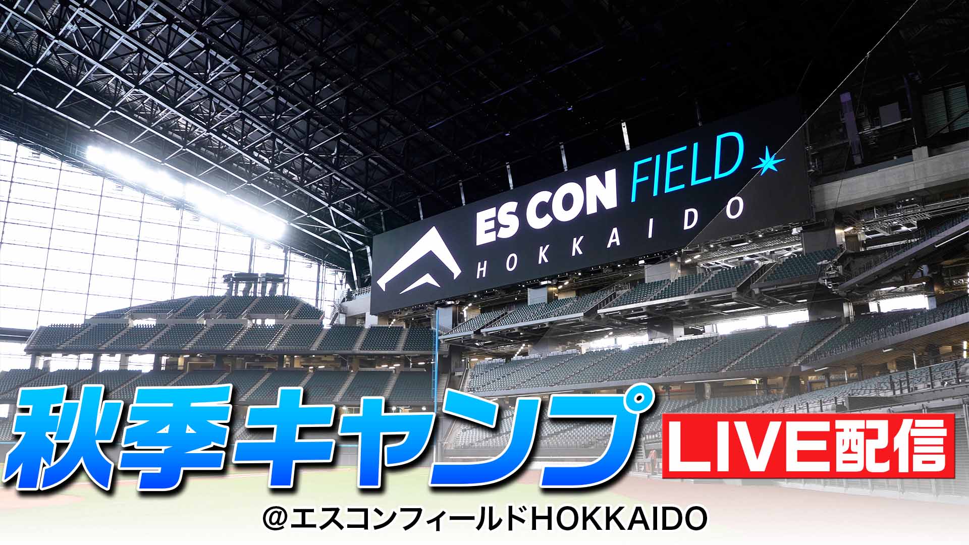 11月1日(金)秋季キャンプ 10:00～